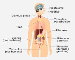 SISTEMA ENDÓCRINO