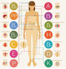 vitamina e corpo humano